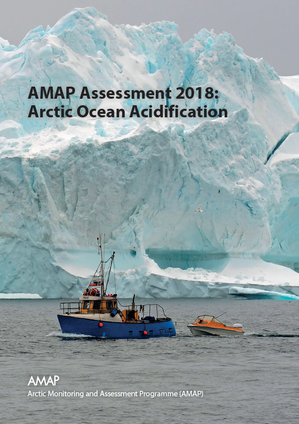 Report cover