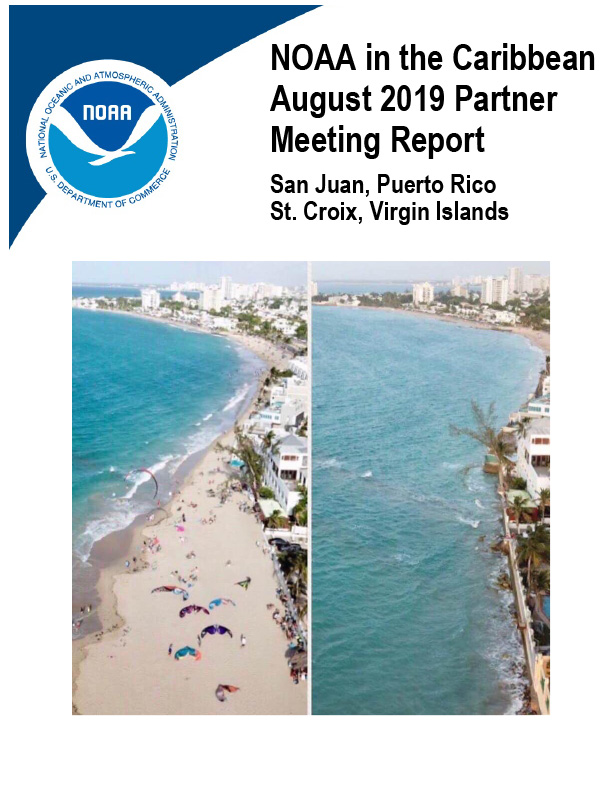 Report cover