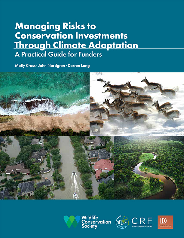Report cover