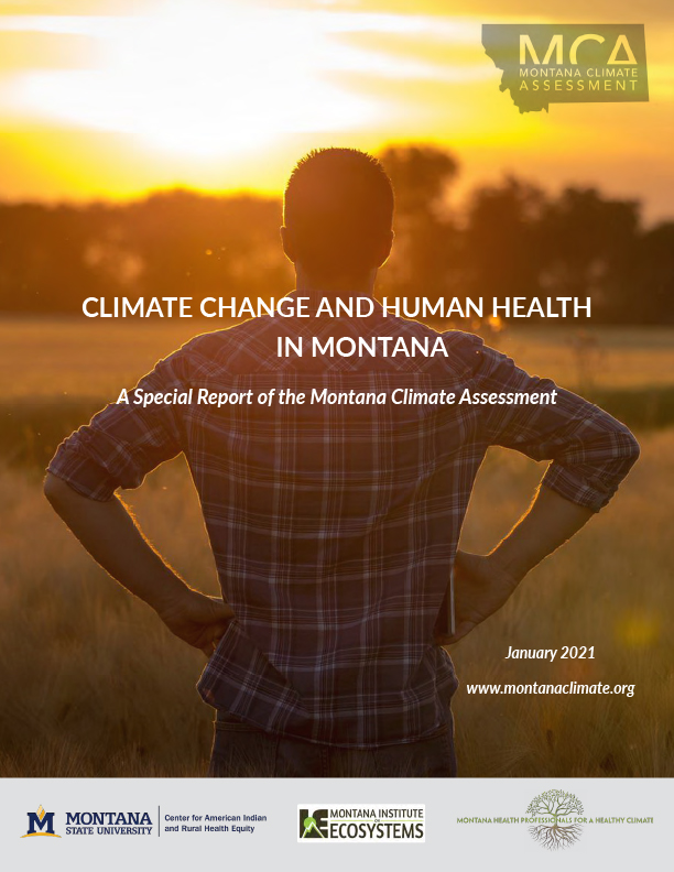 Report Cover
