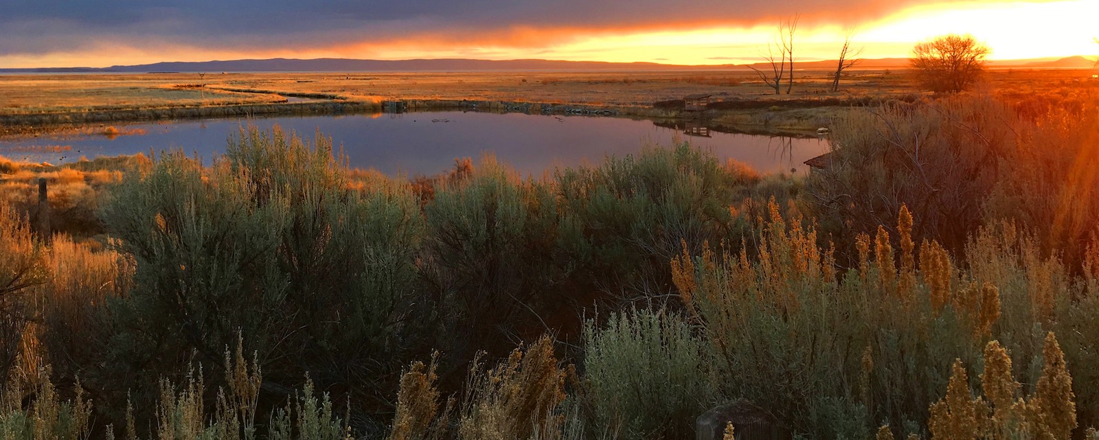 Sunrise at Malheur National Wildlife Refuge Low clouds and orange sky over a pond