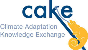 CAKE logo