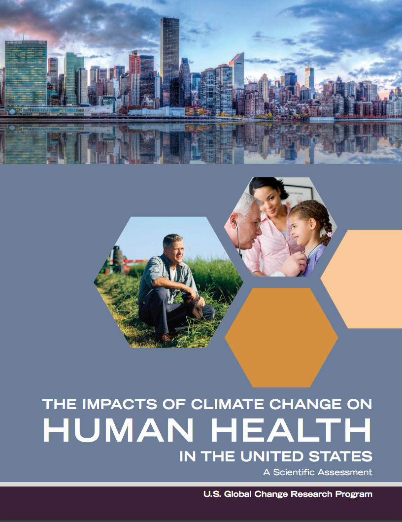 Report cover