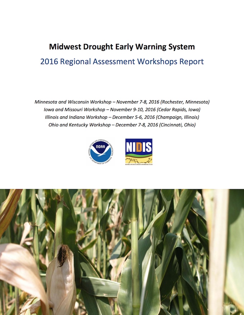 screenshot of report cover