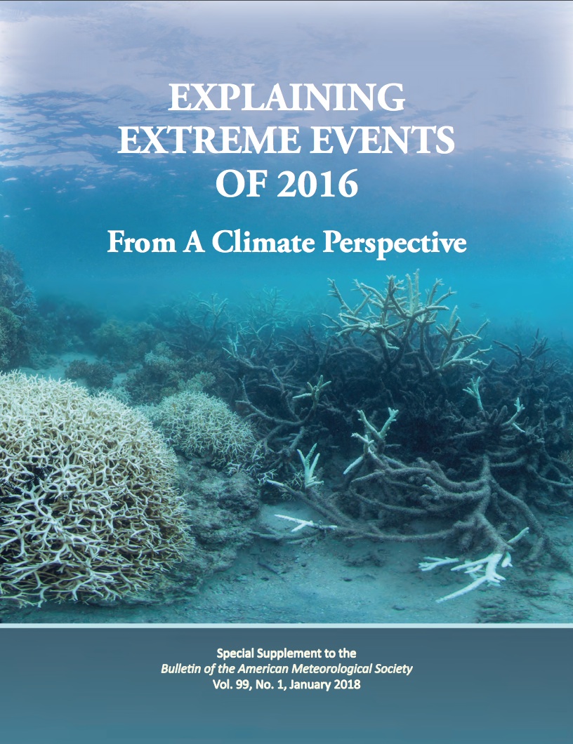 Report cover