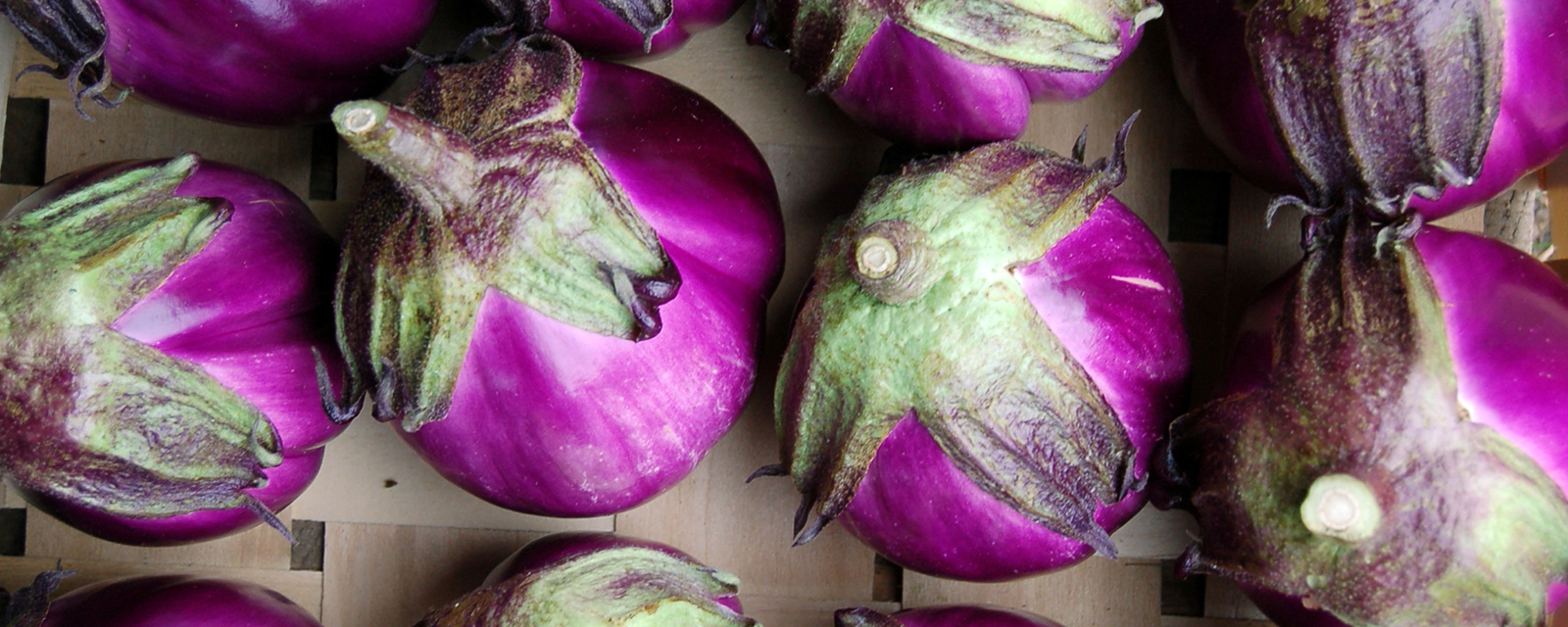 Eggplant from a farm in New Hampshire Eggplant from a farm in New Hampshire
