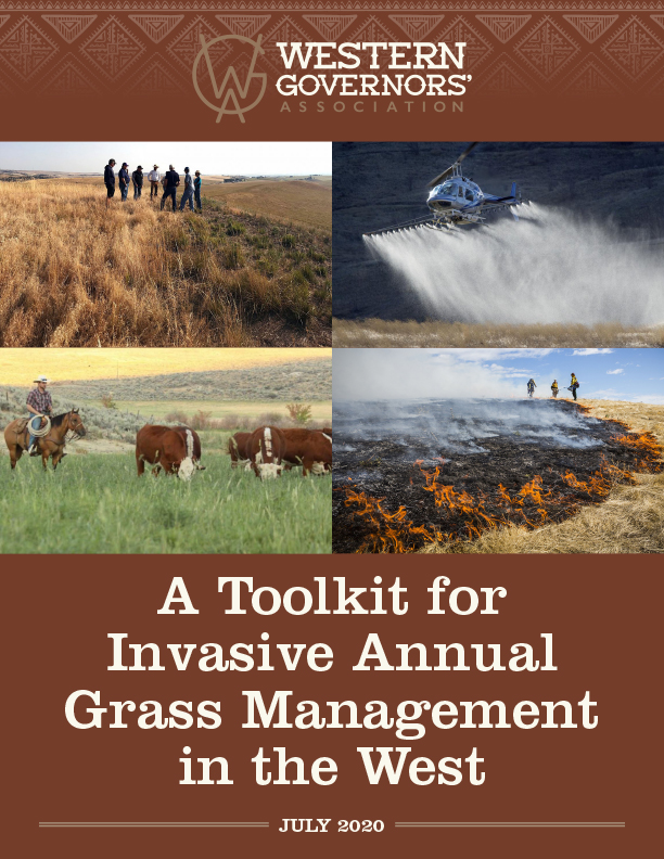 Report cover