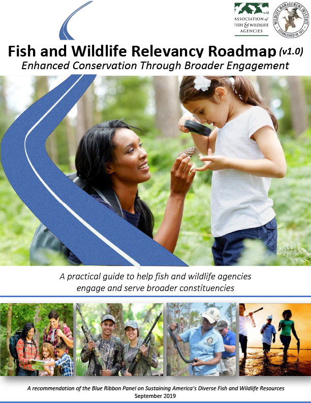Report Cover