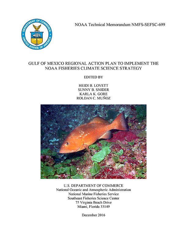 Plan Cover