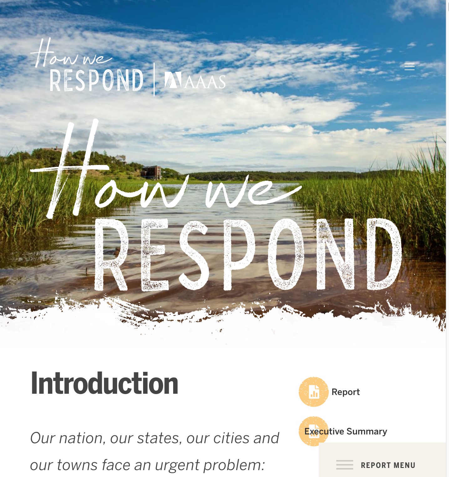 screenshot of report site
