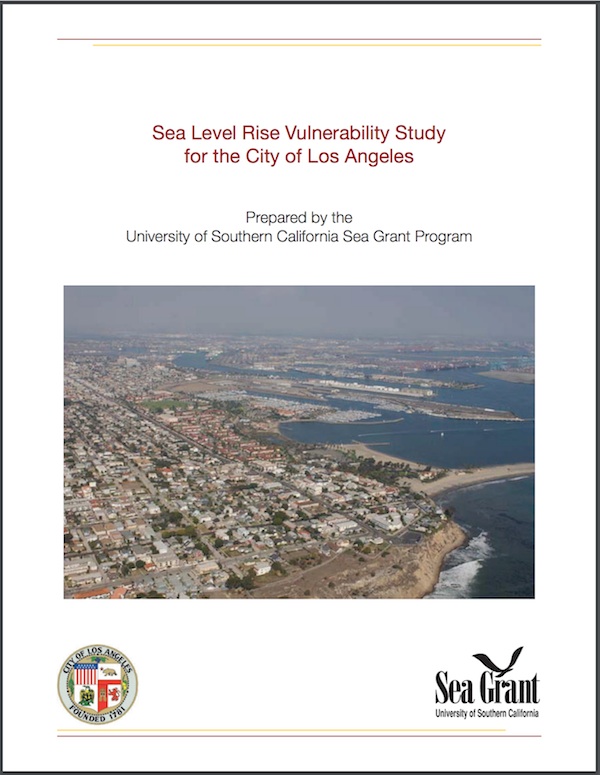 report cover
