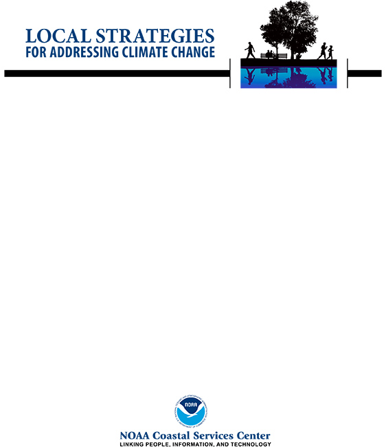 Cover of the Local Strategies report