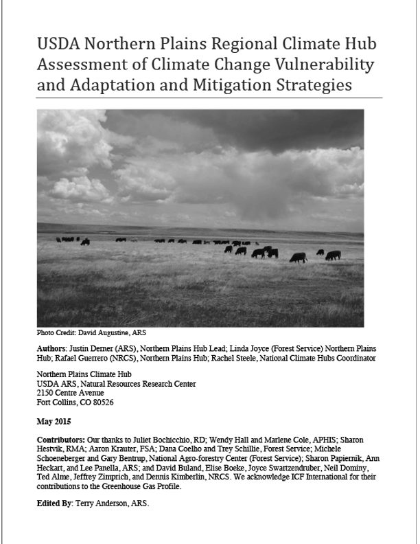 Report Cover