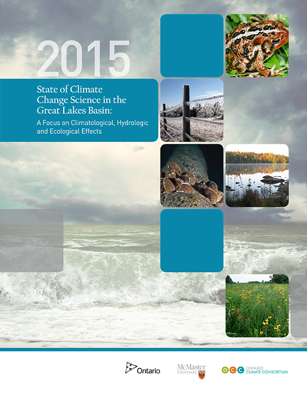 Report cover