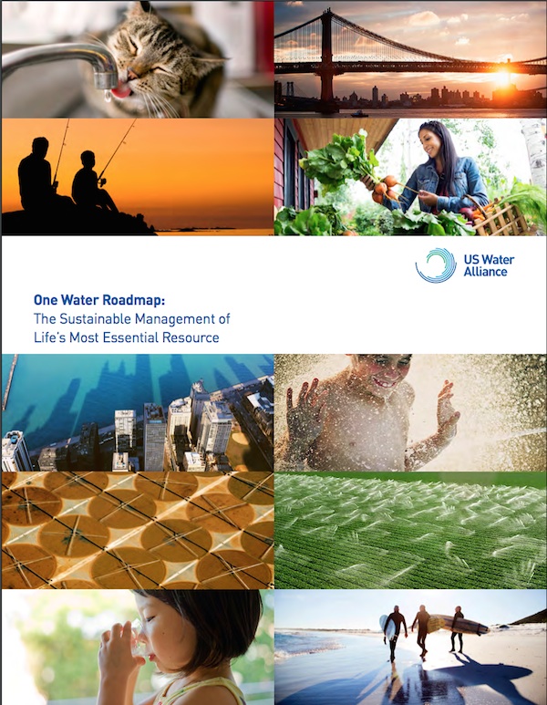 screenshot of report cover