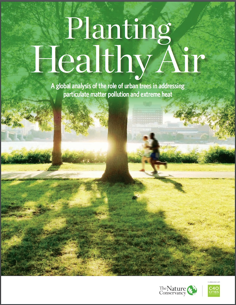 Report cover