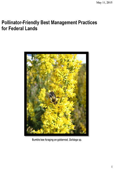 Report cover