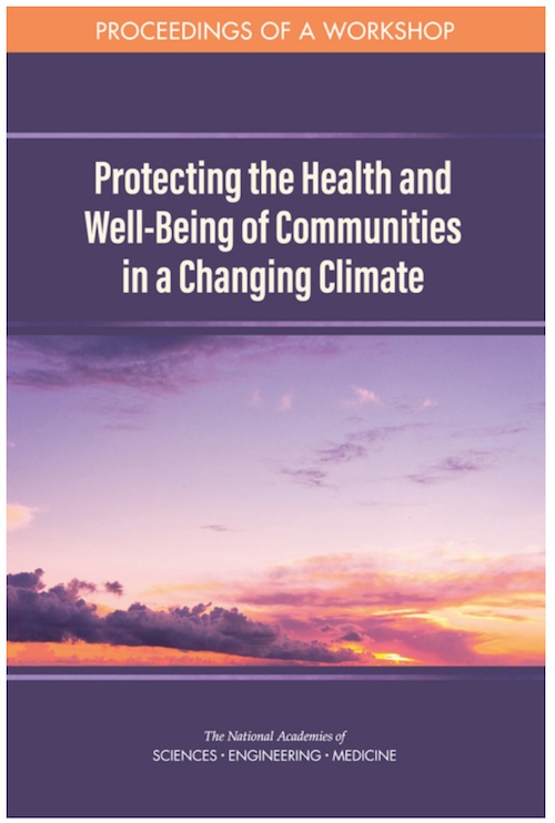 screenshot of report cover