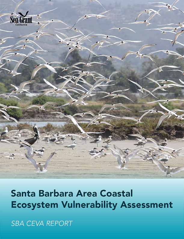 Report Cover