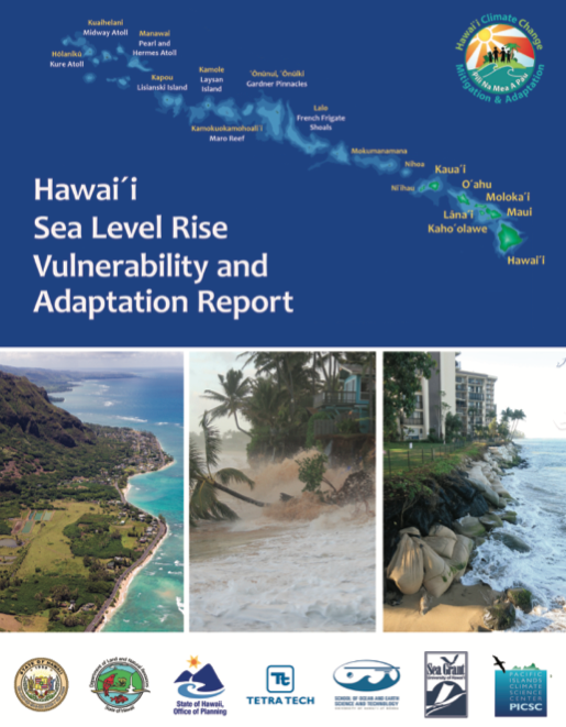 Report cover