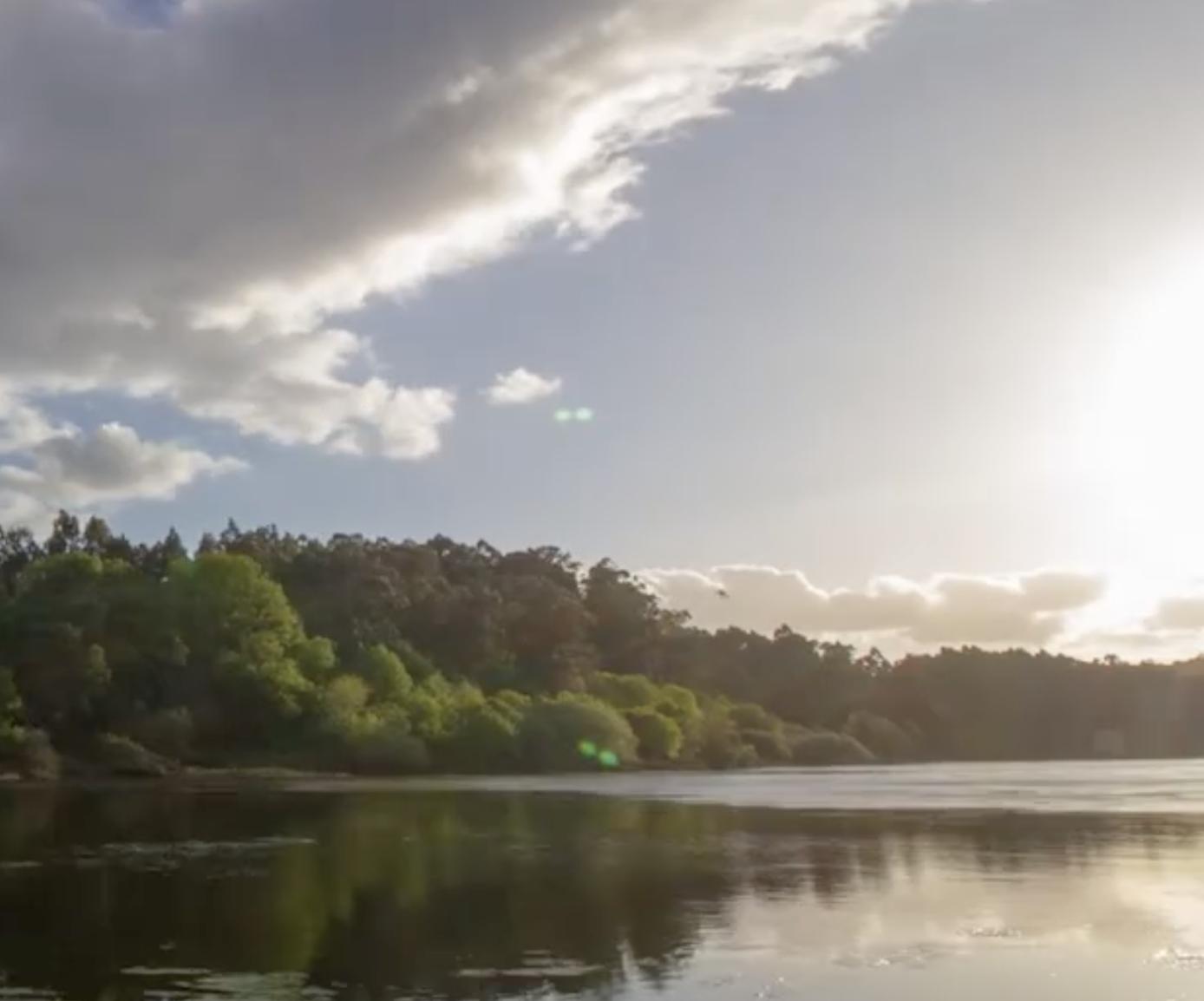 A bright sun shines onto a river and deep green forested area.
