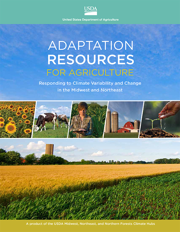 Report Cover