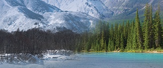 mountainous landscape merges vertically in the center of the image with a deep evergreen forest. 