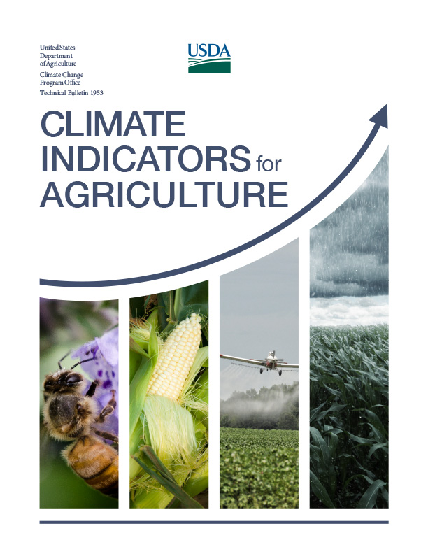 Report Cover