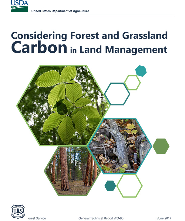 Report cover
