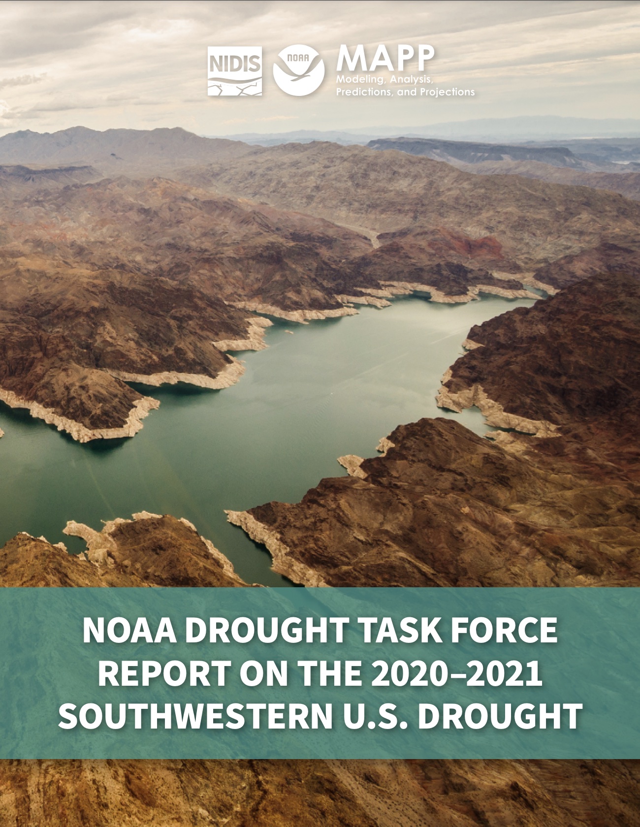 Screen capture of Report cover